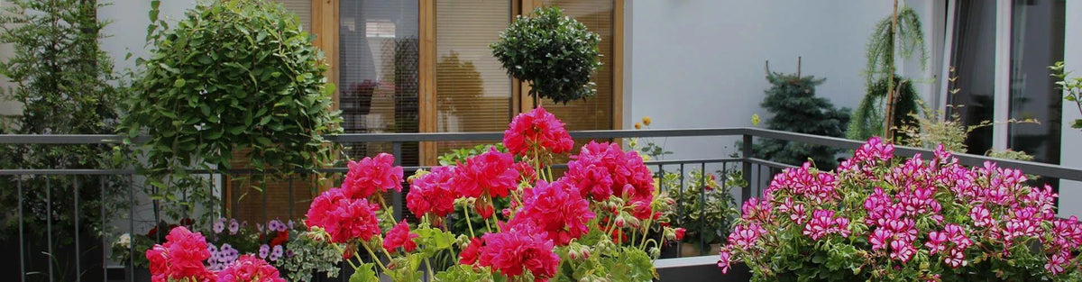 Trasformate il vostro balcone in un’oasi