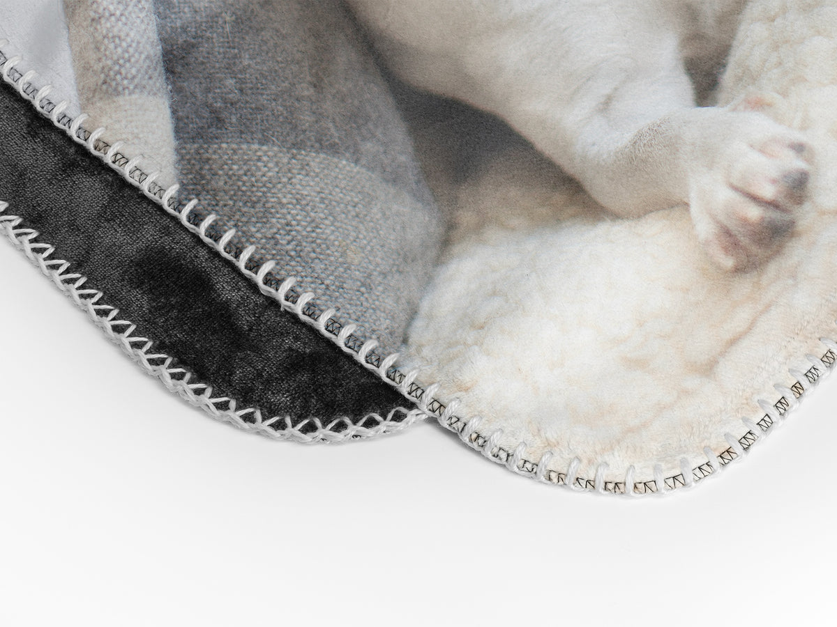 Coperta - Premium