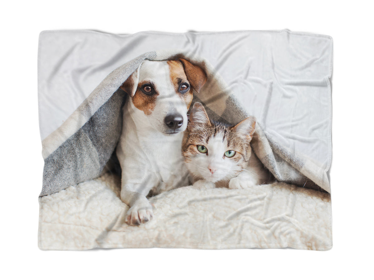 Coperta - Premium