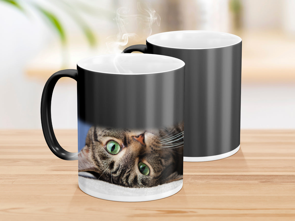 Tazza - Magia
