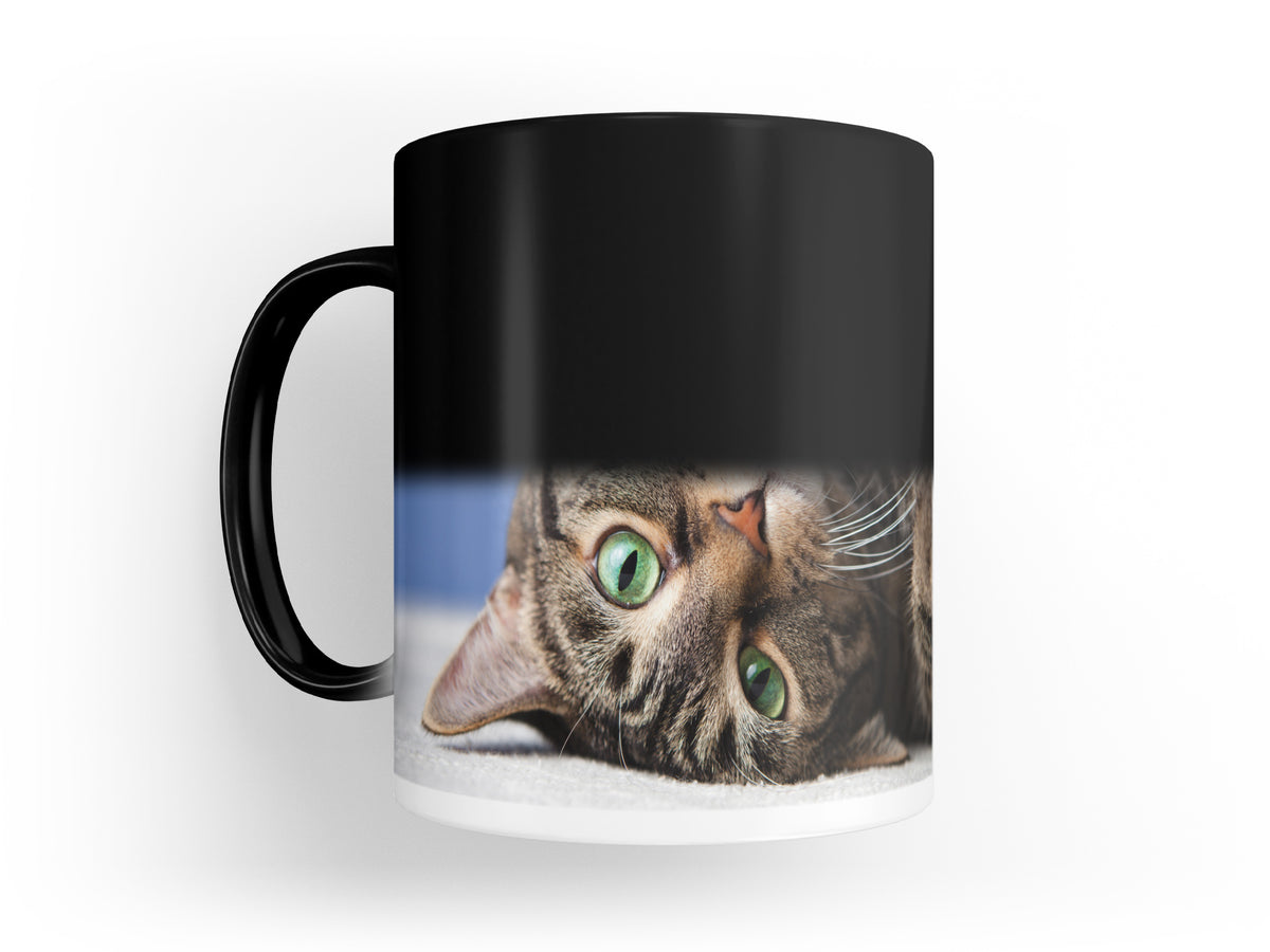 Tazza - Magia