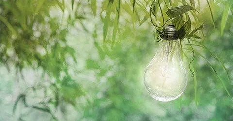produzione ecologica