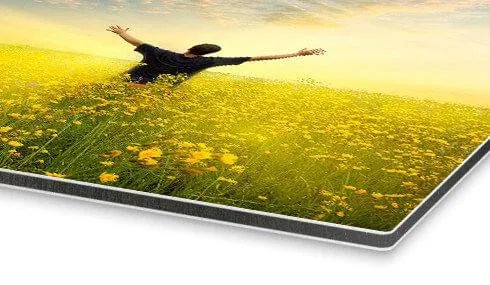 La tua Foto su Alluminio in un design elegante
