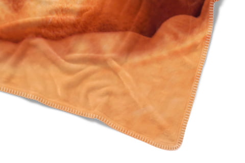 Coperta personalizzata con foto in stanza