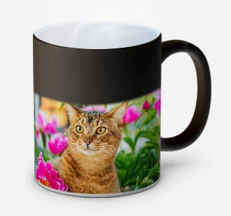 Tazza Personalizzata Unigift Con Tigre Seduta – Regalo Unico Con Nome E Messaggio, Ceramica Verde
