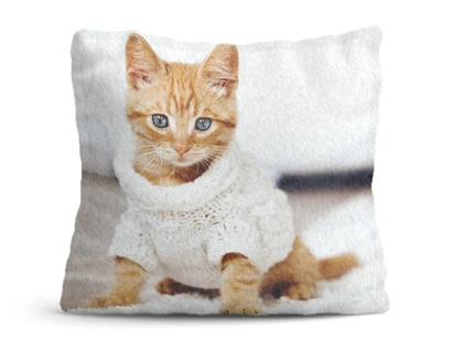 Cuscino con Foto Personalizzato